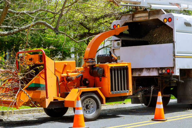 Seasonal Cleanup in Youngstown, OH